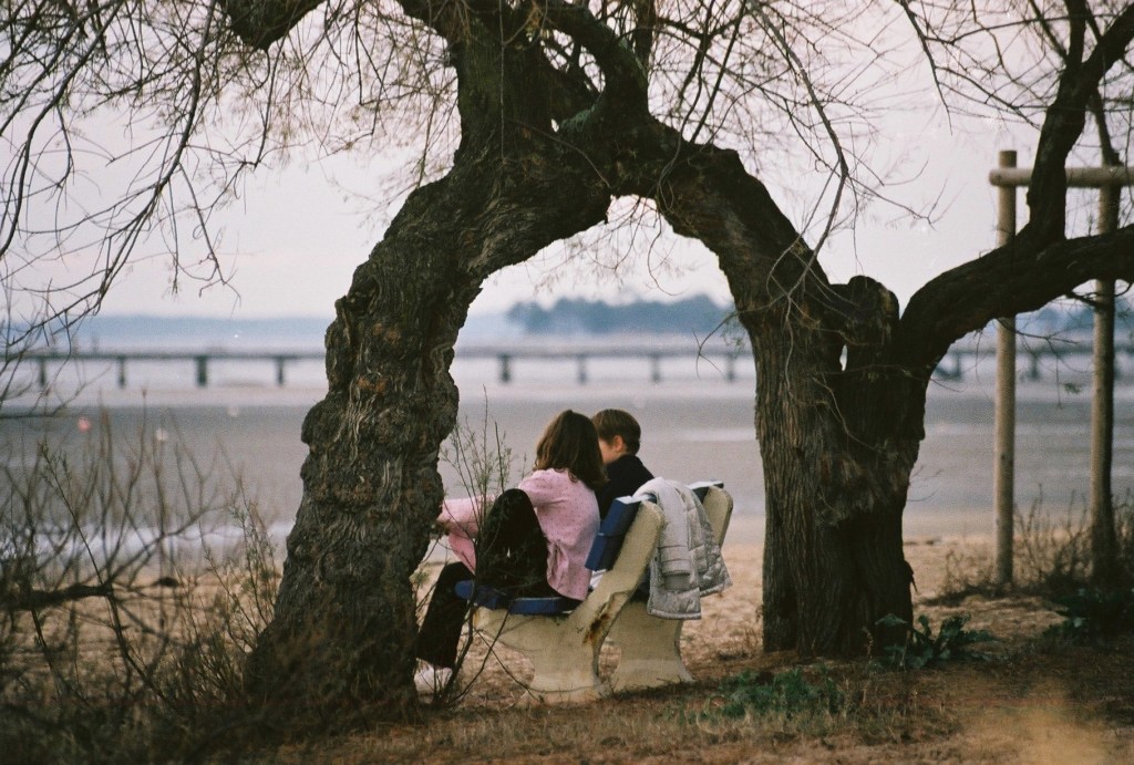 les tamaris devant l'école du Betey