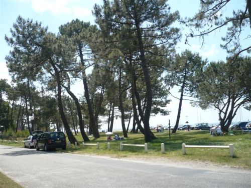 plage boisée vue de la ville 