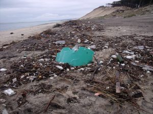 Détritus sur la laisse de mer