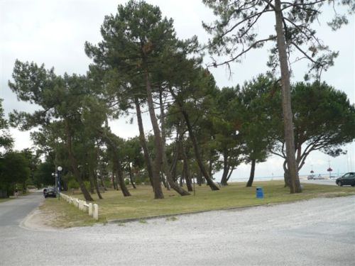 la plage boisée du Betey vue du port 