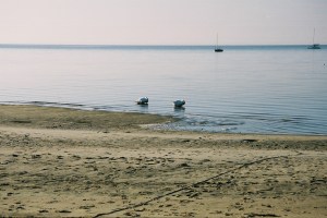 Mais que nous reste-t-il ?