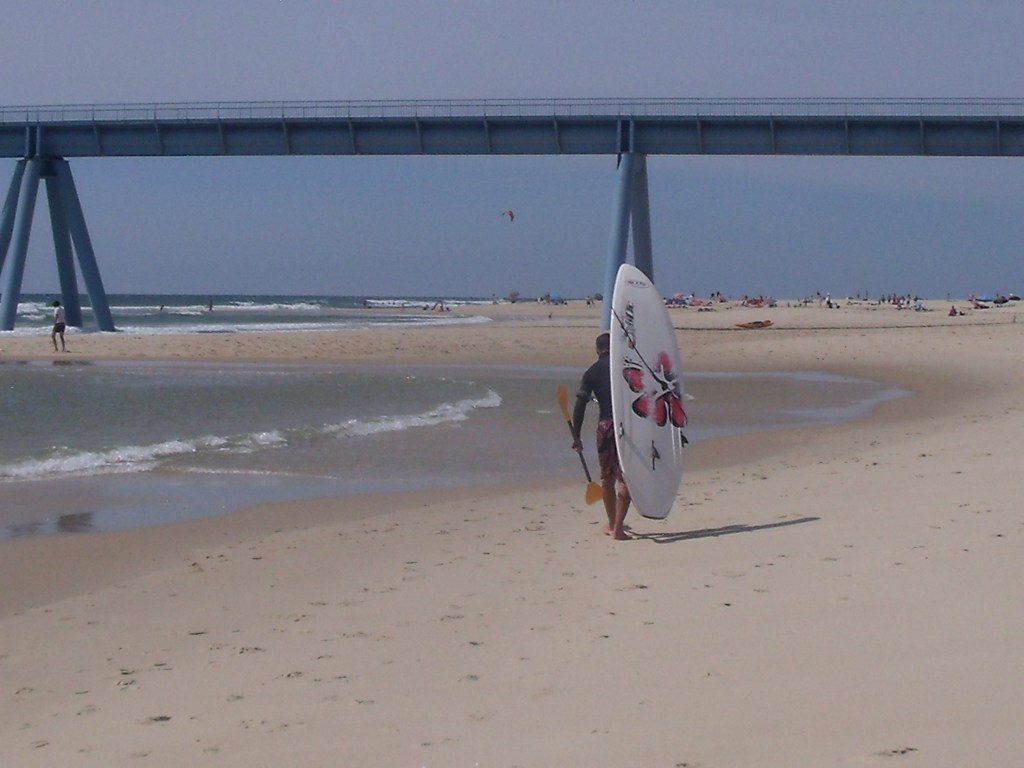 le warf de la Sallie  2012