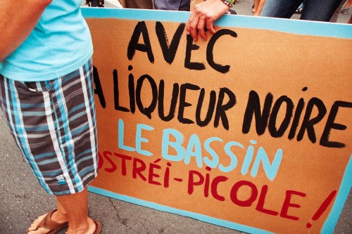 le 5 juillet 2012 la Smurfit kappa déverse 100 M3 de liqueur noire dans le ruisseau le Lacanau. A ce jour et à ma connaissance aucun étude d'impact sur la faune et la flore n'a été réalisé par l'usine et/ou les pouvoirs publics. 