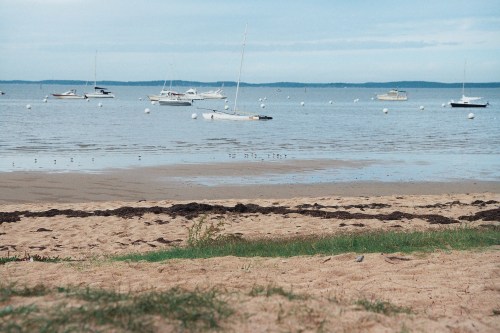 plage au Bétey algues vertes et varech