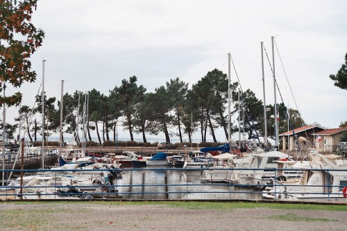 le port de plaisance du Bétey et les arbres du fond qui devaient disparaître 