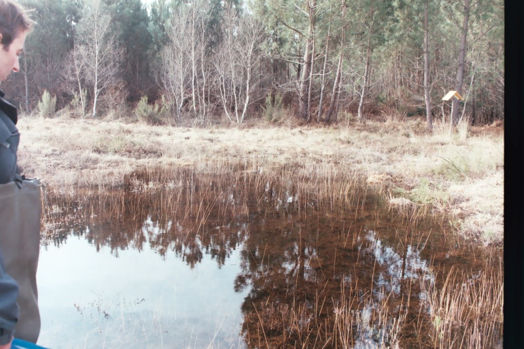 Trafic de pibales (civelles)   a lire dans la revue&nbsp;XXI