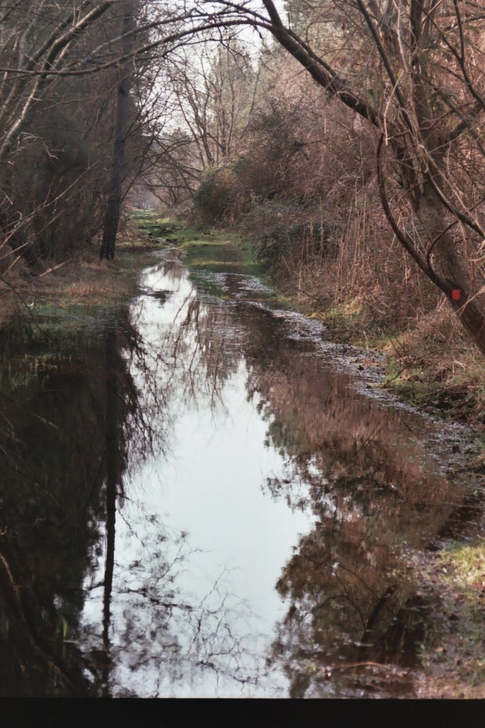 sentier inondé