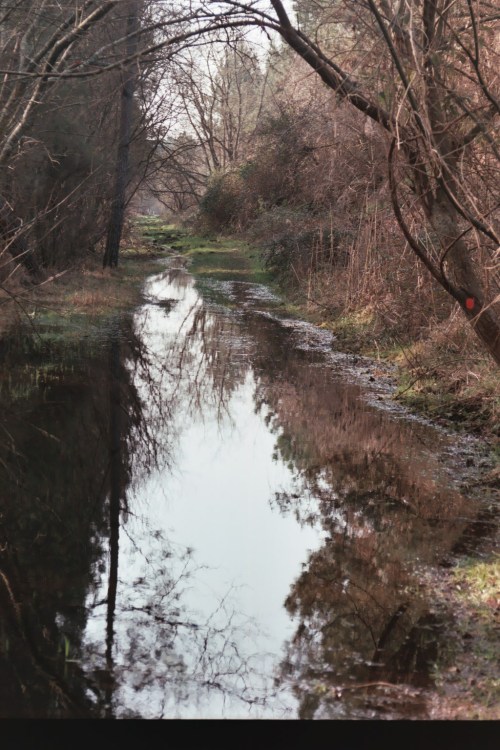 sentier inondé