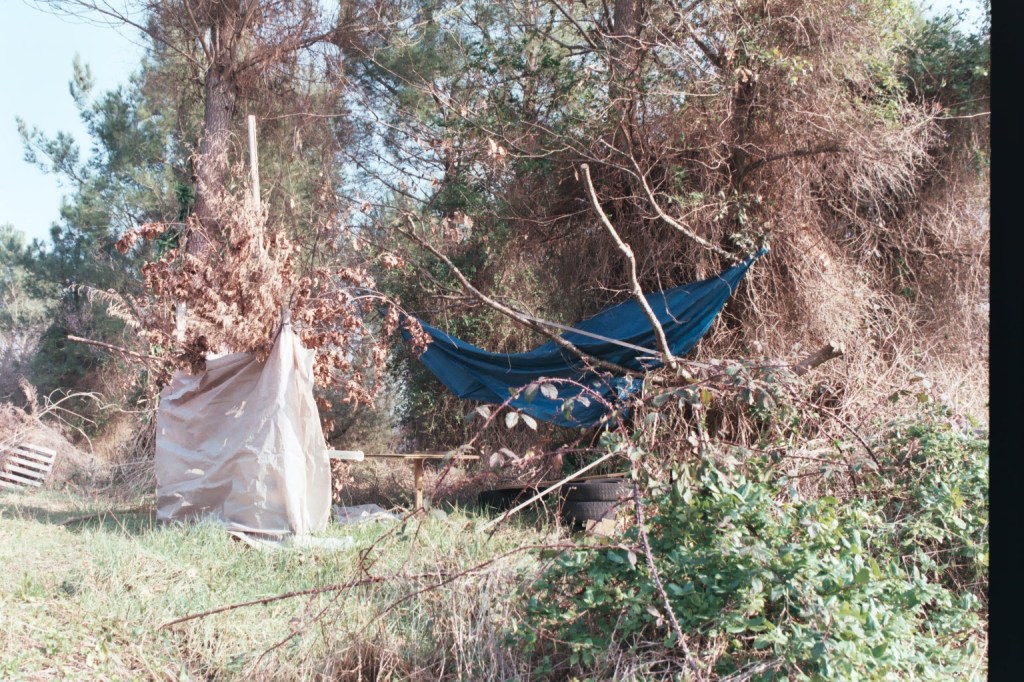 Sur l'ancienne décharge 