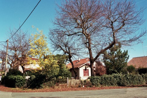 Autosave-File vom d-lab2/3 der AgfaPhoto GmbH