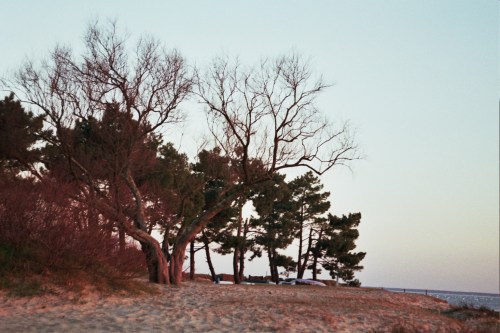 Autosave-File vom d-lab2/3 der AgfaPhoto GmbH