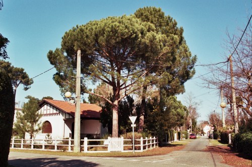 Autosave-File vom d-lab2/3 der AgfaPhoto GmbH