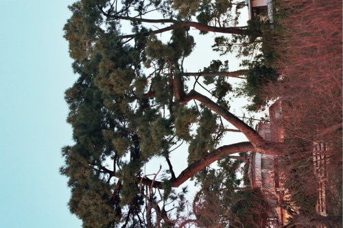 Autosave-File vom d-lab2/3 der AgfaPhoto GmbH