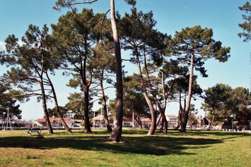 Autosave-File vom d-lab2/3 der AgfaPhoto GmbH