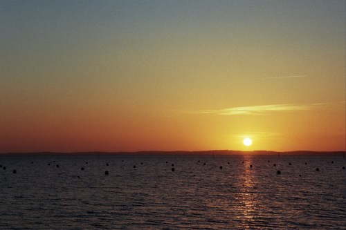 Autosave-File vom d-lab2/3 der AgfaPhoto GmbH