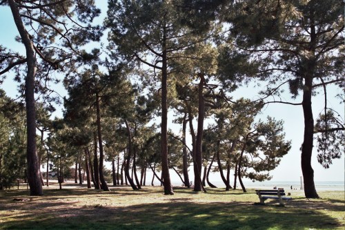 Autosave-File vom d-lab2/3 der AgfaPhoto GmbH