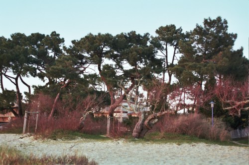 Autosave-File vom d-lab2/3 der AgfaPhoto GmbH