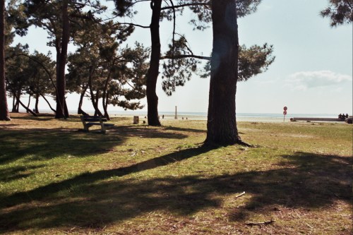 Autosave-File vom d-lab2/3 der AgfaPhoto GmbH