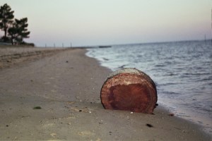 Autosave-File vom d-lab2/3 der AgfaPhoto GmbH