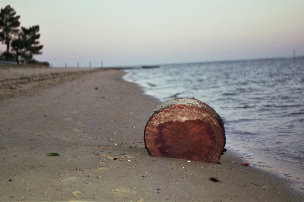 O mon Bassin séquence&nbsp;poétique