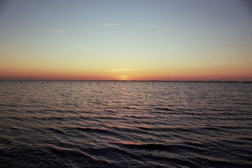 Autosave-File vom d-lab2/3 der AgfaPhoto GmbH