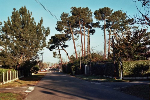 Autosave-File vom d-lab2/3 der AgfaPhoto GmbH