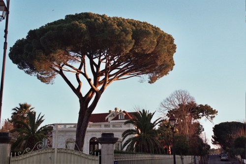 Autosave-File vom d-lab2/3 der AgfaPhoto GmbH