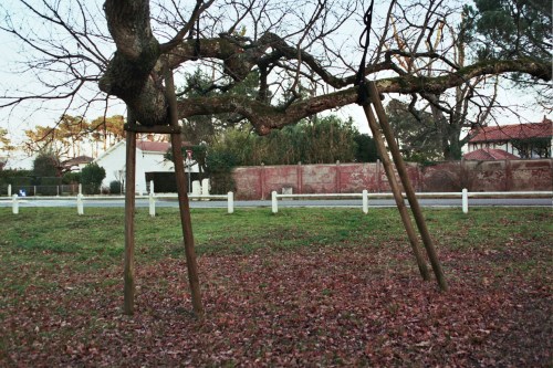 Autosave-File vom d-lab2/3 der AgfaPhoto GmbH