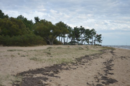 Plage du Broustey rive droite du Bétey 2015