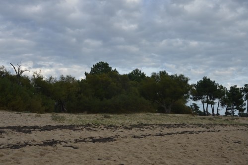 Zone de refuge des oiseaux de mer par grande tempête 