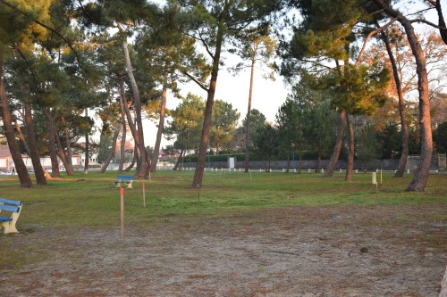 Piquets indiquant de futurs chênes ?