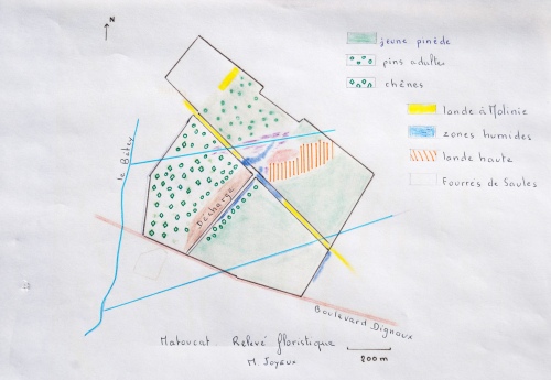 relevé botanique du Communal 2011