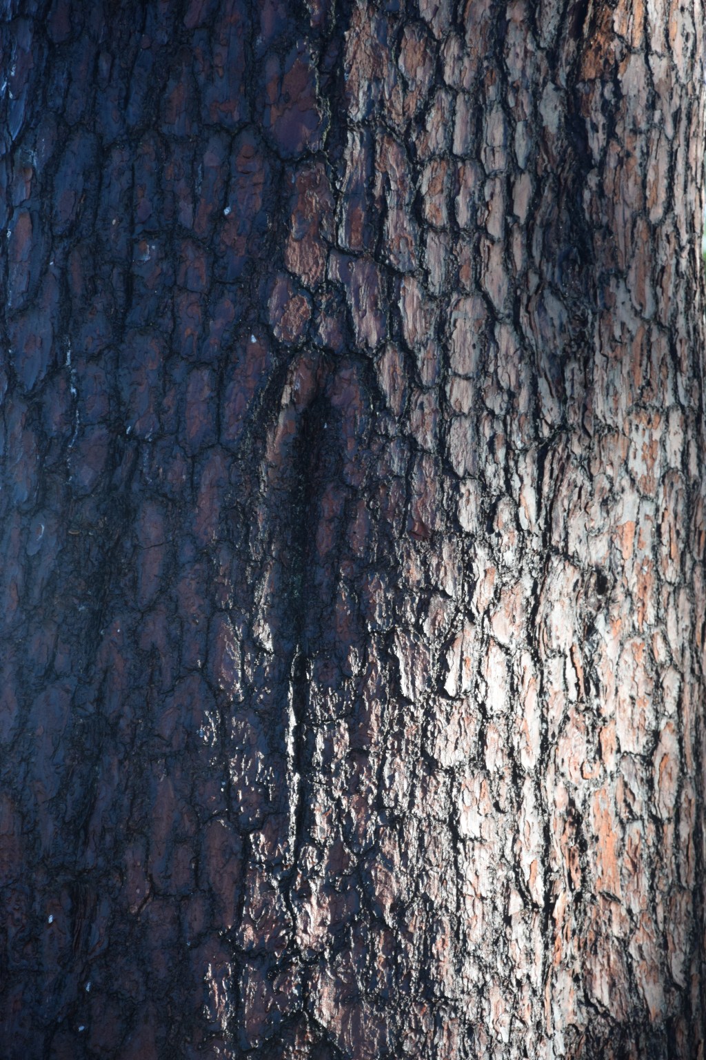 Revue de presse été&nbsp;2019