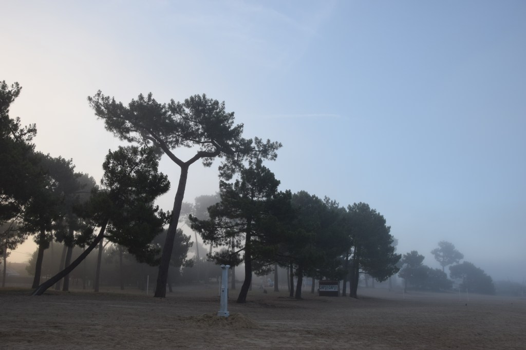 Adaptation au changement&nbsp;climatique