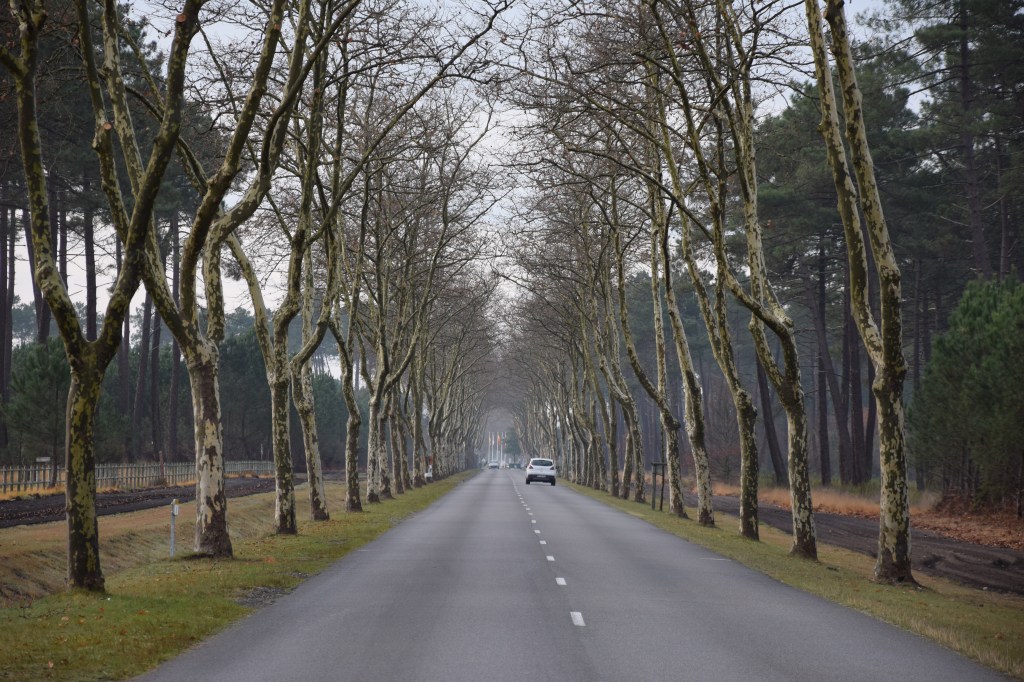 2016 arrivée sur Andernos-les-bains