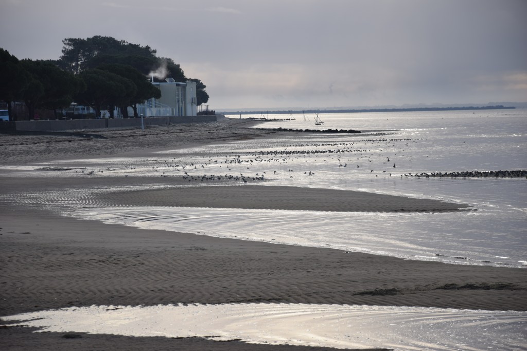 Erosion côtière et submersion&nbsp;marine