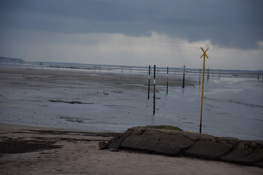 Fouilles archéologiques au&nbsp;Bétey