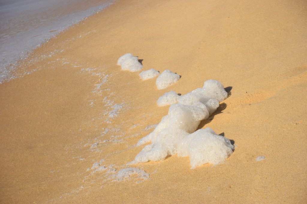 S&rsquo;opposer à la loi Duplomb : une pétition à l&rsquo;Assemblée nationale.