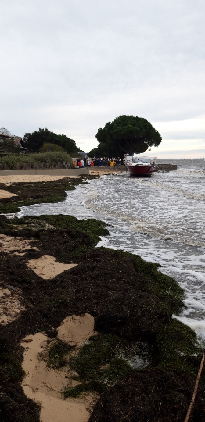 L&rsquo; Assemblée générale de l&rsquo;association Le Bétey, plage boisée à&nbsp;sauvegarder
