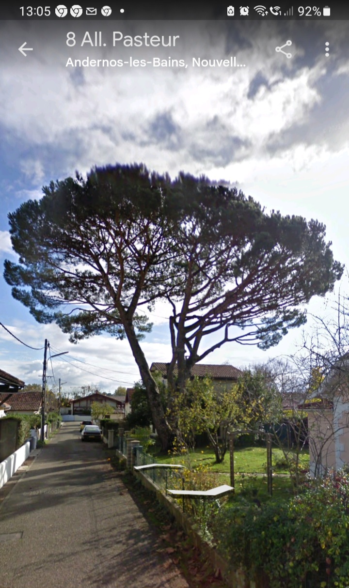 Début d&rsquo;hiver sur le&nbsp;bassin