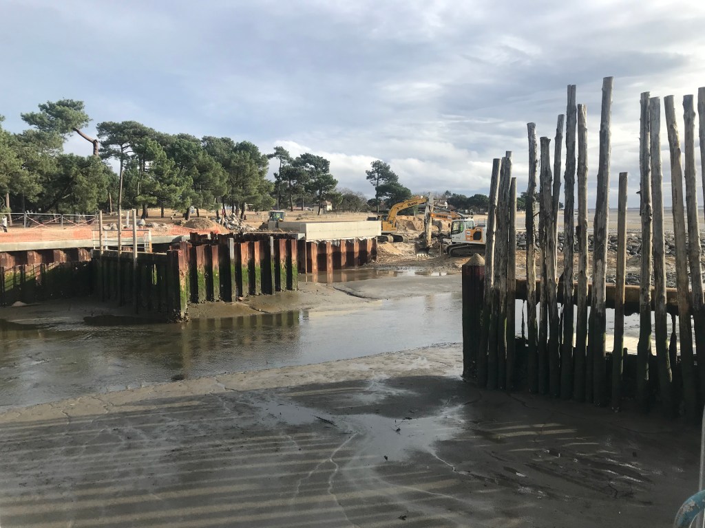 Dérèglement Climatique et Urbanisation Galopante : menaces sur le Bassin d&rsquo;Arcachon en&nbsp;2024