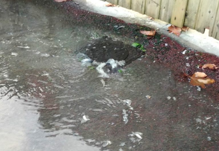 Au sujet de la nouvelle station d&rsquo;épuration promise par le&nbsp;Siba