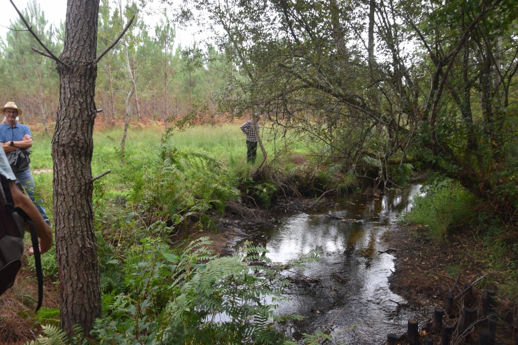 Journée mondiale des zones humides : maraudage pédagogique autour du&nbsp;Cirès
